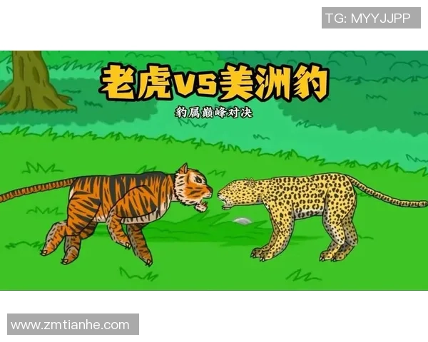 老虎大学与瓜拉达的精彩对决揭示了体育竞技的无限魅力与激情 老虎大学与瓜拉达的精彩对决揭示了体育竞技的无限魅力与激情