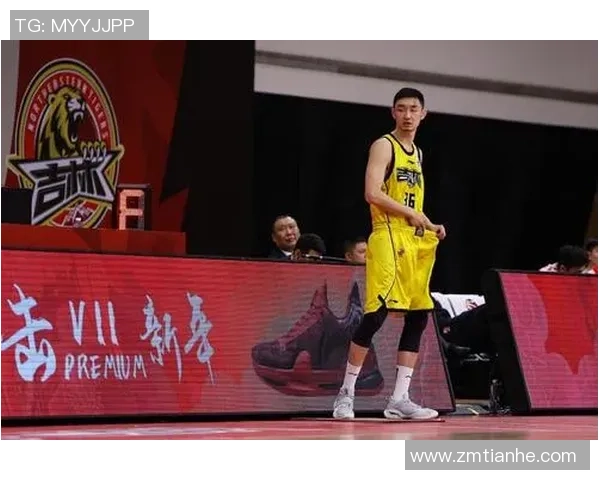 代怀博的成长之路：从学术新星到行业领军人物的蜕变与挑战