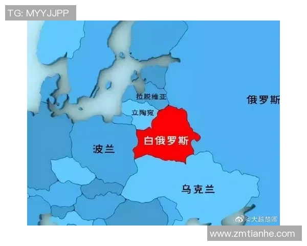 俄罗斯与波兰301战役的历史回顾与战术分析 俄罗斯与波兰301战役的历史回顾与战术分析