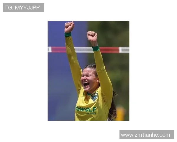 巴西与奥地利比赛结果揭晓进球情况如何分析