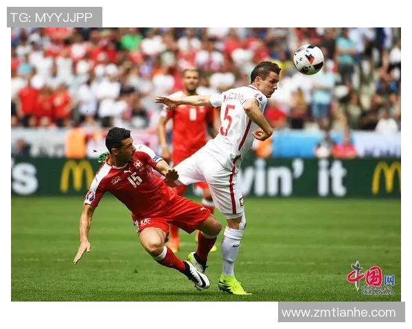 瑞士与波兰比赛主裁判的执法表现分析与影响探讨