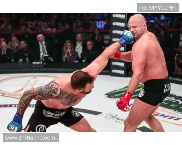 菲多与马特精彩对决视频回顾赛场瞬间与精彩时刻全记录