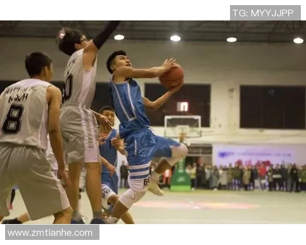 东北虎与衡业的激烈对决展现了篮球的无限魅力与团队精神