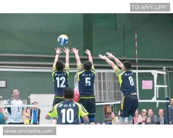 北京排球队灵活性变革引发热议探索新战术与团队协作的未来发展