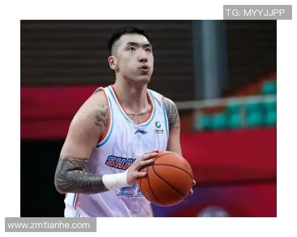 陶汉林：从篮球场上的拼搏者到社会公益的践行者的华丽转身