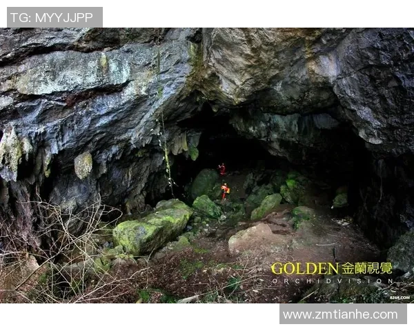 南京攀岩队的防反体系探讨与攀岩战术的深度融合分析