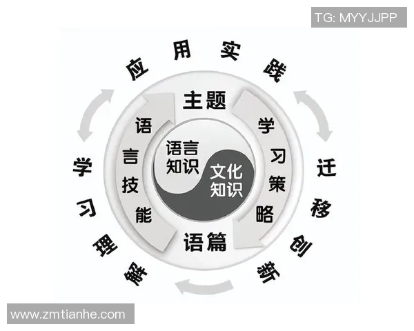上海排球队的力量变革引发热议新策略与新阵容的深度分析 上海排球队的力量变革引发热议新策略与新阵容的深度分析